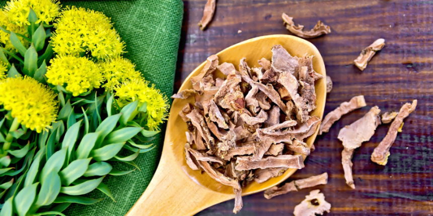 is-a-rhodiola-supplement-all-you-need-to-fight-off-stress?